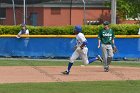 Baseball vs Babson  Wheaton College Baseball vs Babson during Championship game of the NEWMAC Championship hosted by Wheaton. - (Photo by Keith Nordstrom) : Wheaton, baseball, NEWMAC